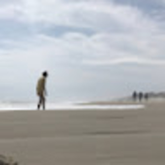 Meet your Posher, Bella - Picture 1 of 1